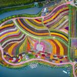 Голландский цветочный парк в китае