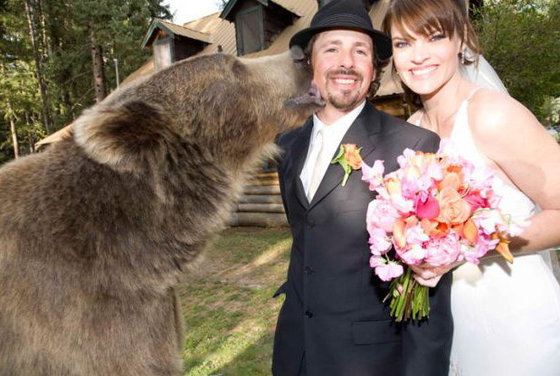 На свадьбе Кэйси Андерсона медведь Бутус свидетель