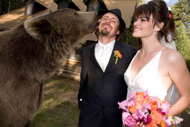 На свадьбе Кэйси Андерсона медведь Бутус свидетель