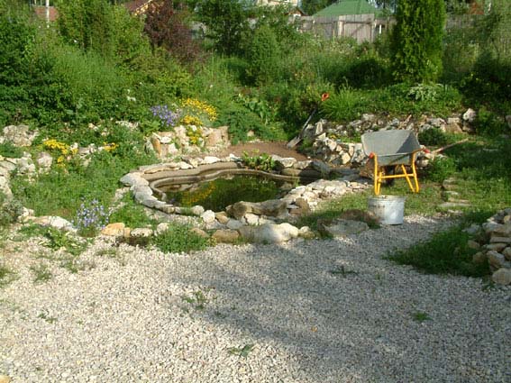 Дом, сад и пруд в саду.... - фото 11