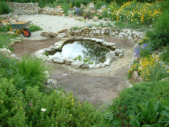 Дом, сад и пруд в саду.... - фото 12