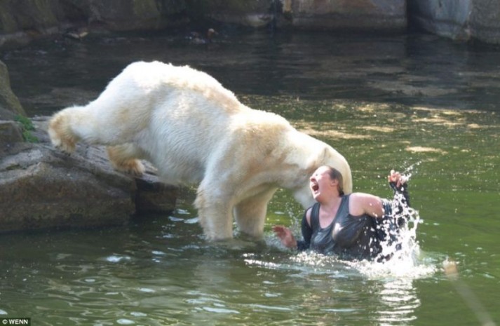 белый медведь напал на женщину прыгнувшую в вольер