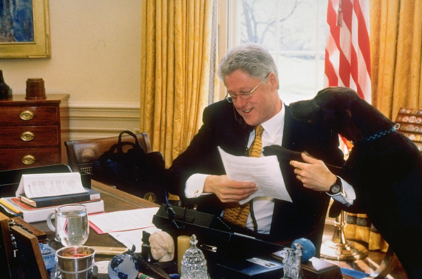 Билл Клинтон с шоколадным лабрадором Бадди