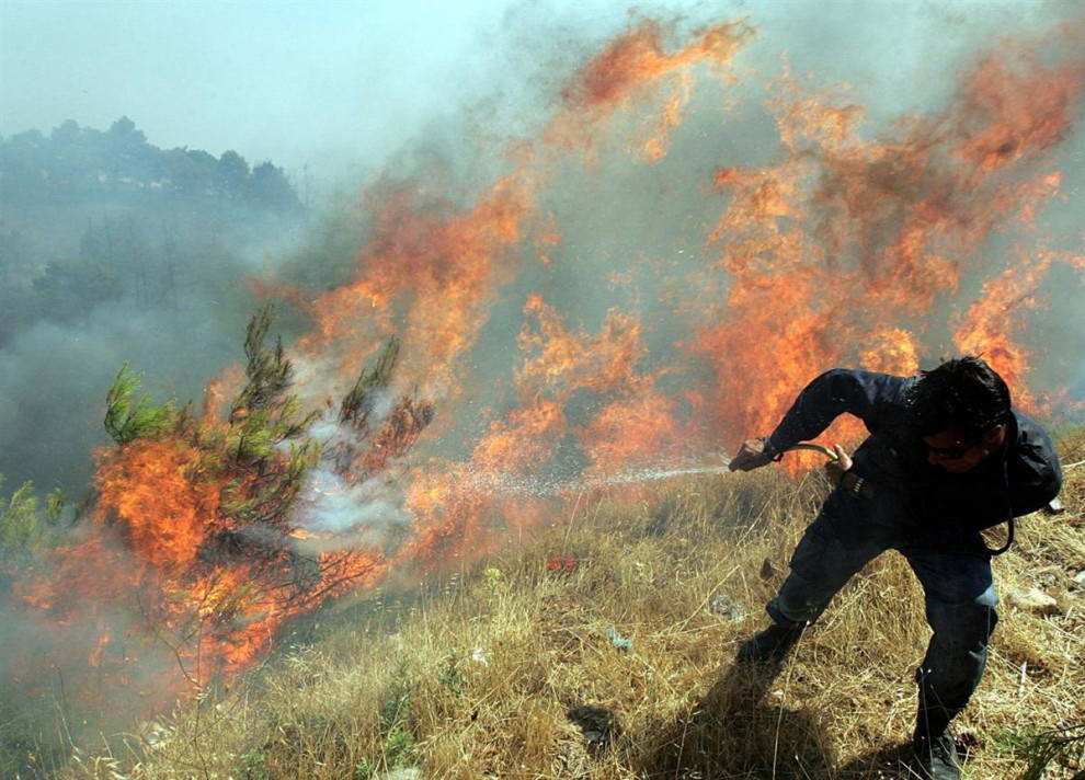 Пожарные тушат огонь в Варнаве, примерно в 30 км к северу от Афин в воскресенье. Греческое правительство объявило чрезвычайное положение, так как крупнейшие пожары вышли из-под контроля в северо-восточных районах Афин, оставляя над городом густую завесу дыма и уничтожая десятки домов. (Orestis Panagiotou/EPA)