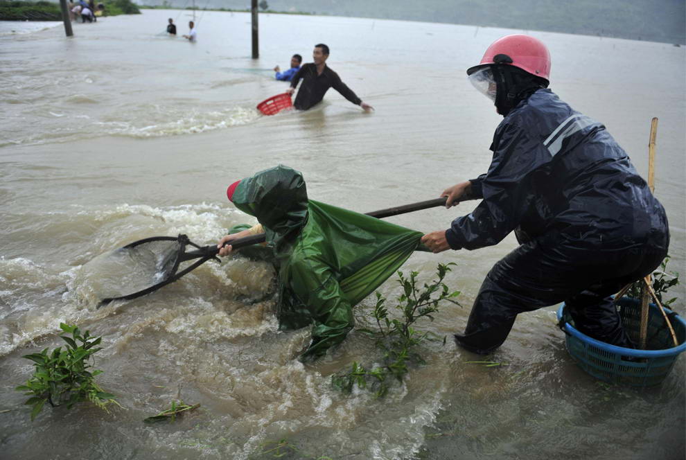 Местные жители пытаются ловить рыбу в вышедшем из берегов пруду, после того, как тайфун Моракот достиг округа Сяпу, провинция Фуцзянь, Китай, 9 августа 2009 года. (REUTERS/Stringer)