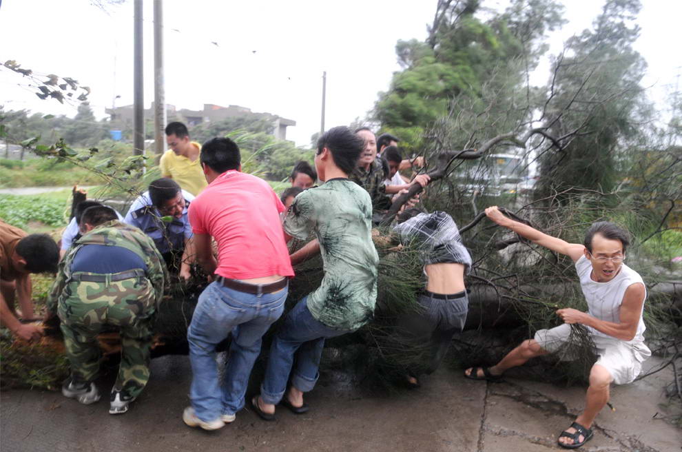 Жители совместными усилиями убирают упавшие деревья, блокирующие проезд в Чанле на юго-востоке Китайской провинции Фуцзянь 8 августа 2009 года, когда тайфун Моракот достиг Китая. (AFP/AFP/Getty Images)