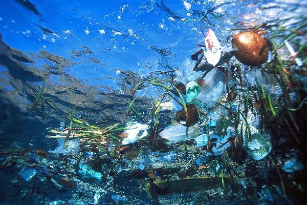Попадающий в океан мусор – главным образом пластик – закручивается по часовой стрелке, растягиваясь на сотни километров, примерно на полпути между Японией и западным побережьем США. 