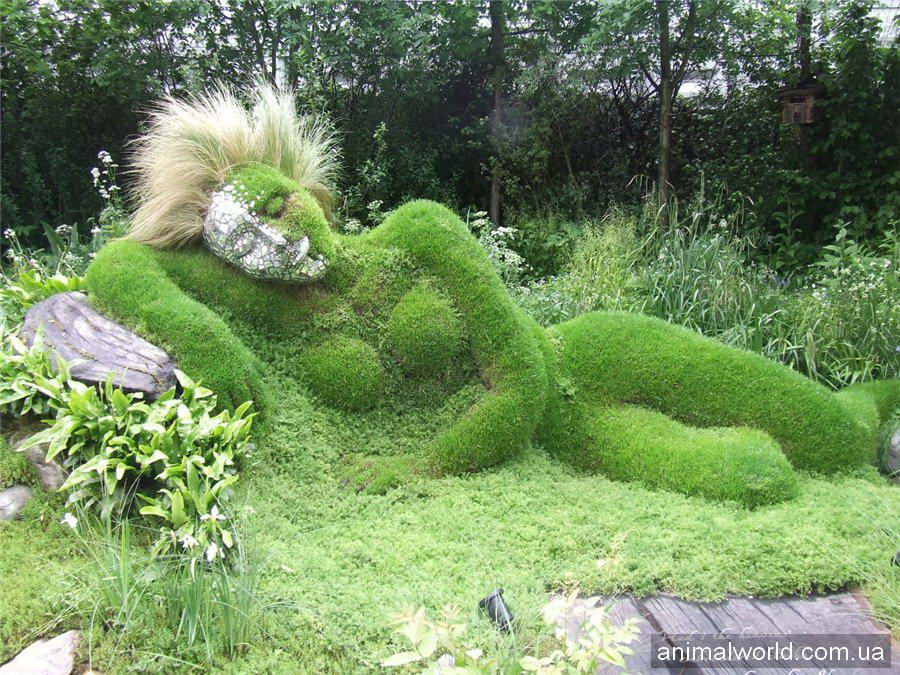 Отдыхающая зелёная красотка в садах Корнуолла