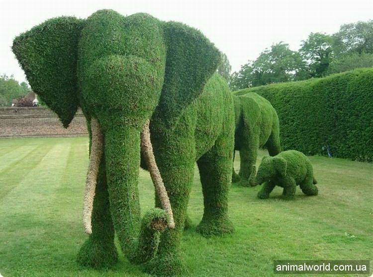 Зелёные слоны, пасущиеся на газоне.