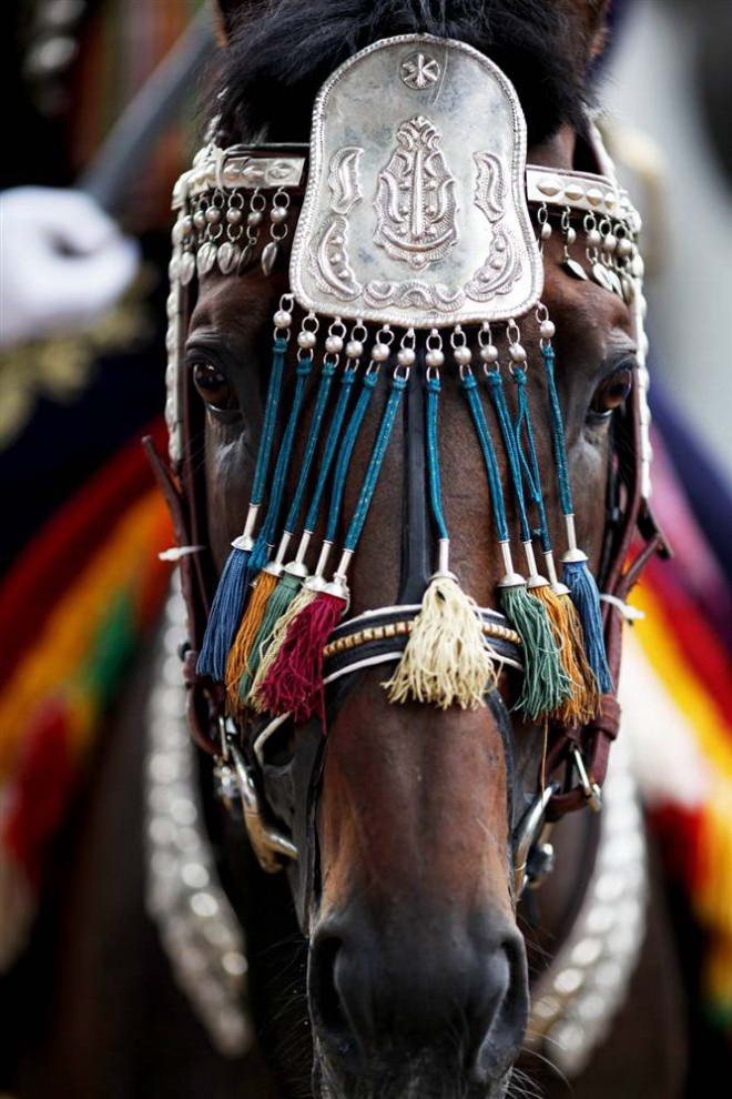 Конь в украшениях во время фестиваля  Алка в городе Синь на юге Хорватии. Алка представляет собой турнир по верховой езде, который с 1715 года проходит каждый август в хорватском городе Синь, в ознаменование победы над Османской Империей. (Damir Sagolj/Reuters)
