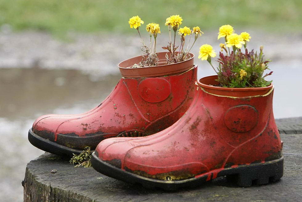 Цветы растут в старых красных резиновых сапогах в саду северной Германии 8 июля. (Joerg Sarbach/AP)