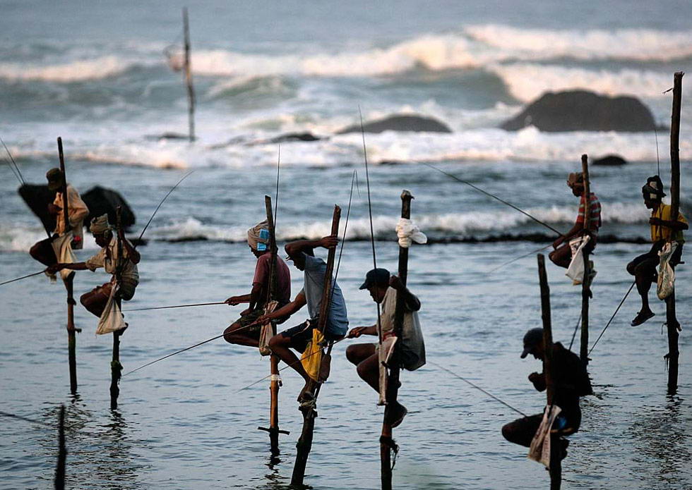 Рыбаки сидят на ходулях, погруженных в воды морского залива Коггала, Шри-Ланка, 5 июля. Рыбацкие ходули являются традиционным средством заработка в этом районе, и каждое такое устройство – настоящее богатство, передающееся от поколения к поколению. (Vivek Prakash/Reuters)