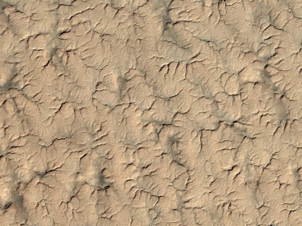 Этот снимок южного полярного региона Марса является частью серии фотографий, сделанных межпланетной станцией NASA Mars Reconnaissance Orbiter, в попытке отыскать модуль или хотя бы его парашют. Модуль был потерян после того, как вошел в атмосферу Марса в декабре 1999 года. Останки модуля могут быть покрыты пылью и льдом, что затрудняет поиски. Этот снимок был сделан 3 июля, а выпущен 8-го. (NASA/JPL/University of Arizona)