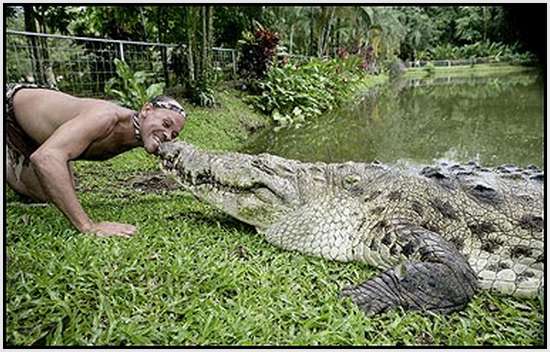 Крокодил Pocho