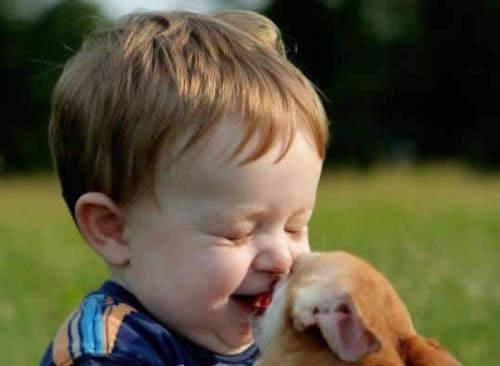 Психологи установили, что маленькие дети способны понимать собак.