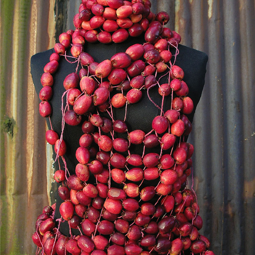 CRAB APPLE GOWN
