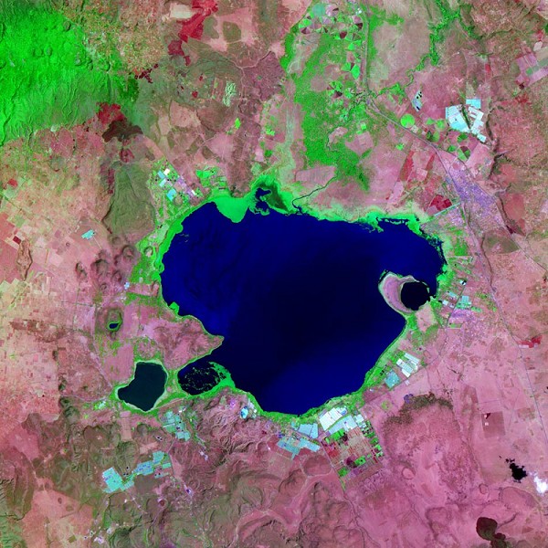 Озеро в Кении.
