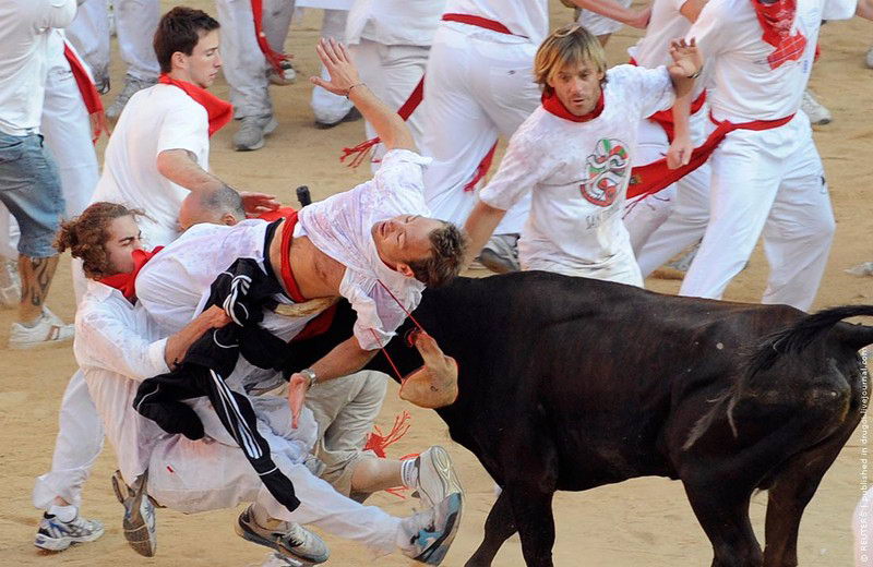 одним из самых ярких элементов является именно традиционный забег быков по улицам города из загонов городка Сан-Доминго до арены для боя быков "Пласа де Торос".