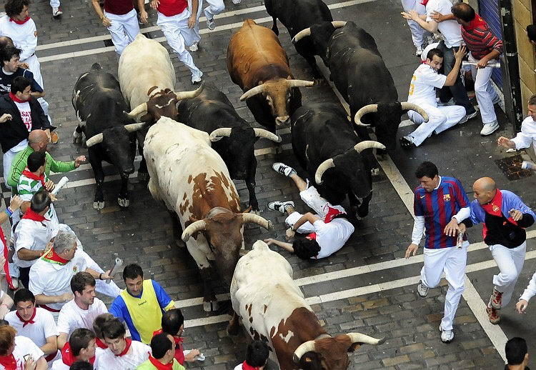 одним из самых ярких элементов является именно традиционный забег быков по улицам города из загонов городка Сан-Доминго до арены для боя быков "Пласа де Торос".