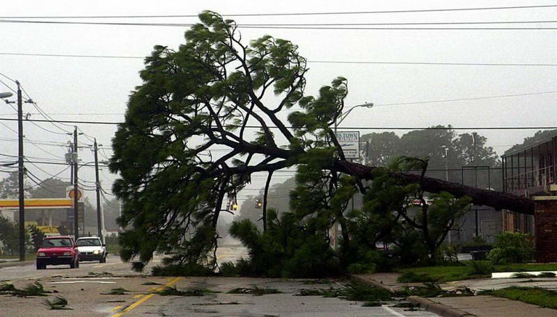 Улицы Тутсвилля и других юго-восточных городов штата Флорида были завалены после урагана Фрэнсис, достигшего побережья 2 сентября 2004 года.