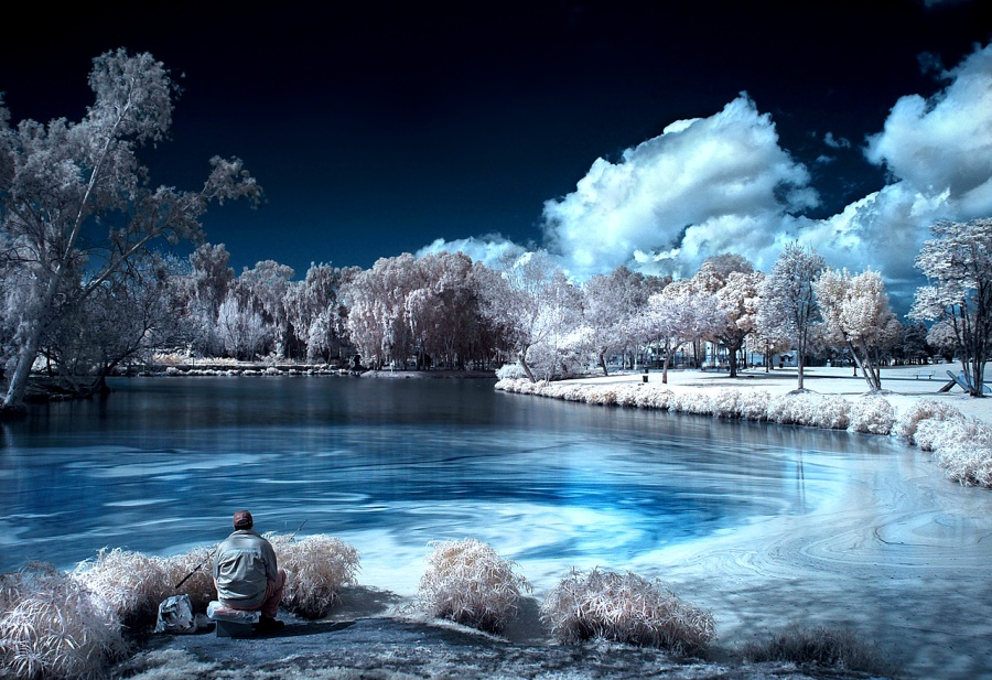 Infrared_photography_1.jpg