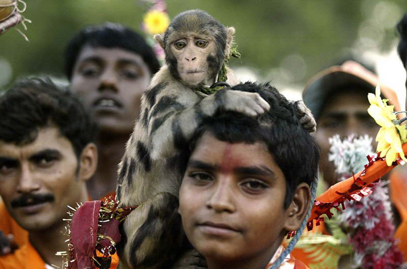 Мальчик-индус с обезьянкой на плече во время ежегодного паломничества на реку Ганг в индийском городе Аллахабад. 