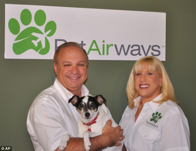 США состоялся первый рейс авиакомпании Pet Airways, обслуживающей домашних питомцев – кошек и собак