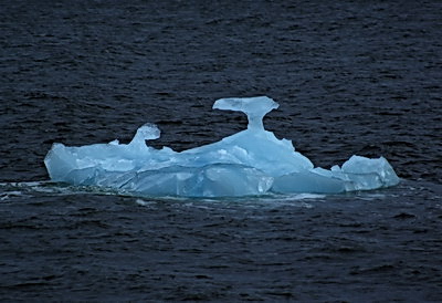 От них постоянно отламываются гигантские куски льда, рождая айсберги.