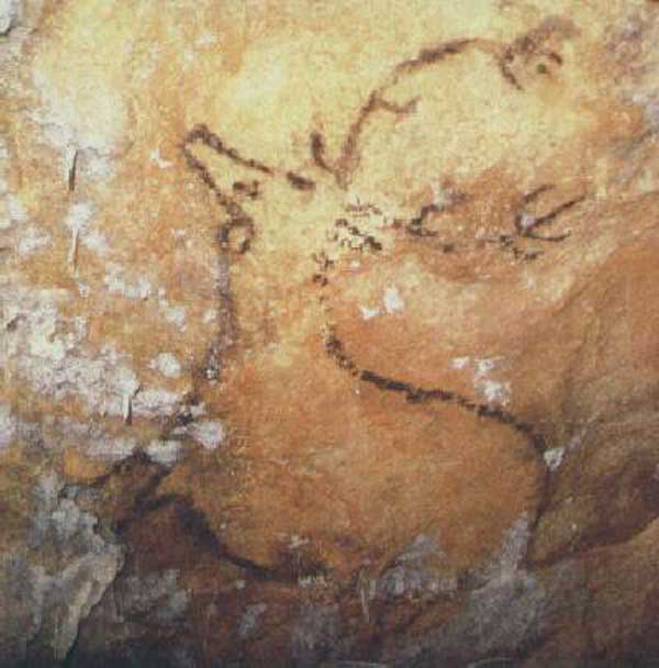 Олень, нарисованный древесным углем, местами поврежденный кальцитом (справа от лошади).