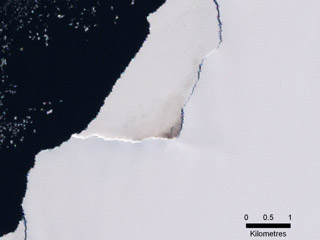 Ученые зафиксировали расположение десятков колоний императорских пингвинов в Антарктике после выявления больших объёмов птичьего помёта на снимках, сделанных из космоса.