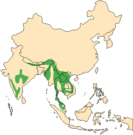 Карта обитания гаура