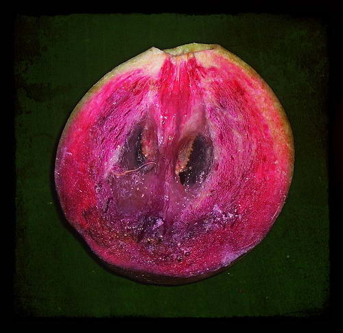 Звездное яблоко, Chrysophyllum cainito, star apple,