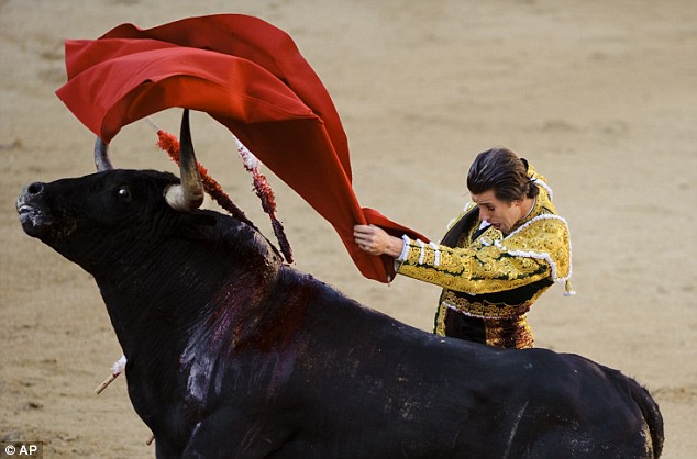 Испанская коррида Israel Lancho и бык