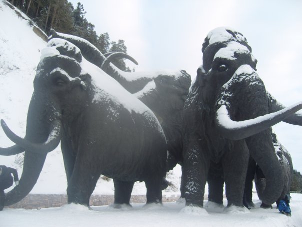 Памятник мамонтам в Ханты-Мансийске