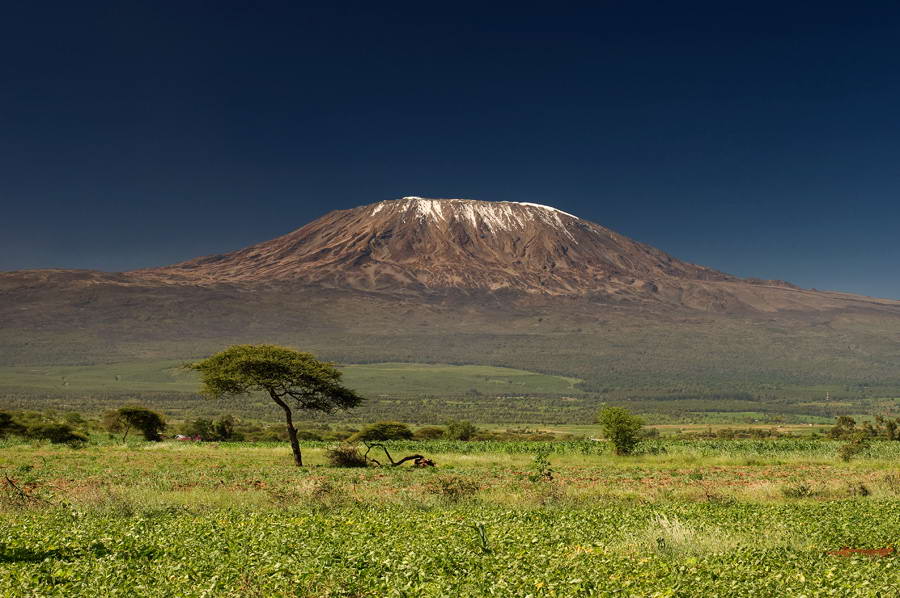 Килиманджа́ро — горный массив на северо-востоке Танзании, высочайшая точка Африки над уровнем моря (5.893 m, официально 5.895 m)