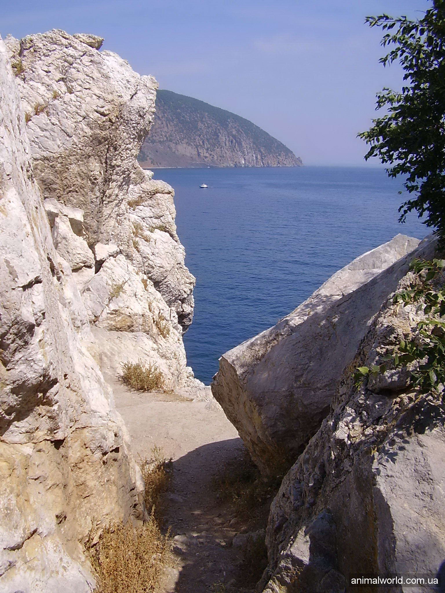 экотуризм в Крыму этим летом
