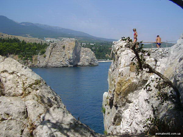 экотуризм в Крыму этим летом