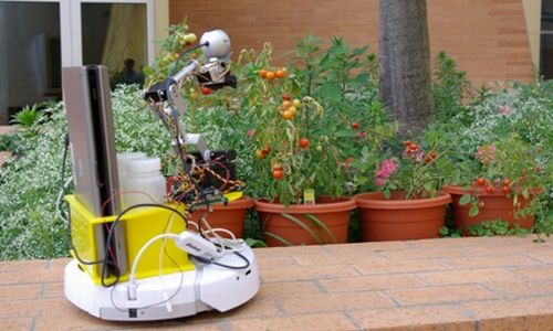 На основе данных, поступающих от датчиков, система управления робота принимает решение о необходимости своевременного полива растений,