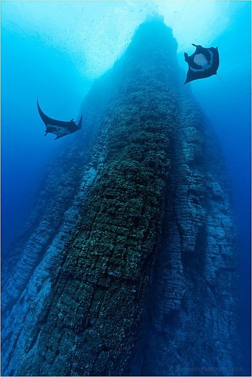 Норберт Пробст и его подводный мир