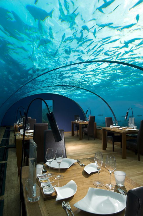 Подводный ресторан Ithaa (Ithaa Undersea restaurant) находится на Мальдивах на глубине 5 метров возле одного из двух частных островов