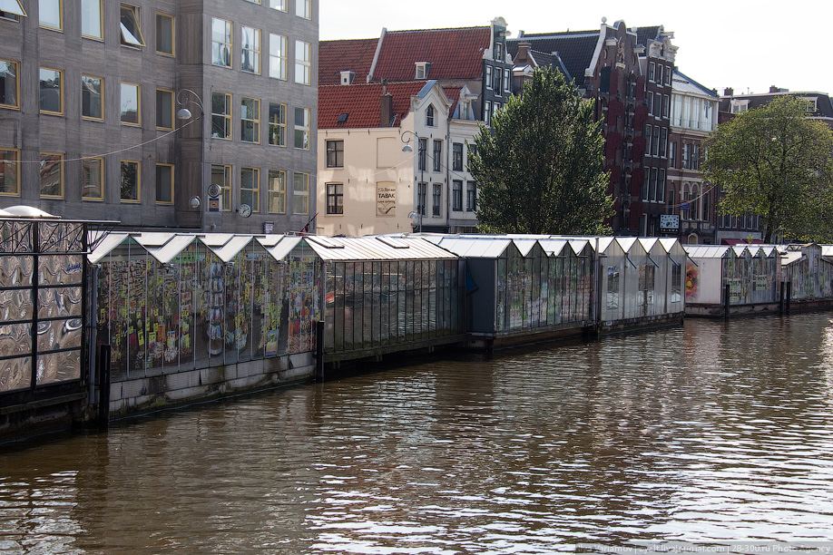 Цветные контрасты Амстердама