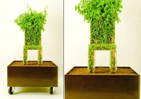 Конструкция стула очень простая - надо задать растениям направление и форму, а вырастут они сами.