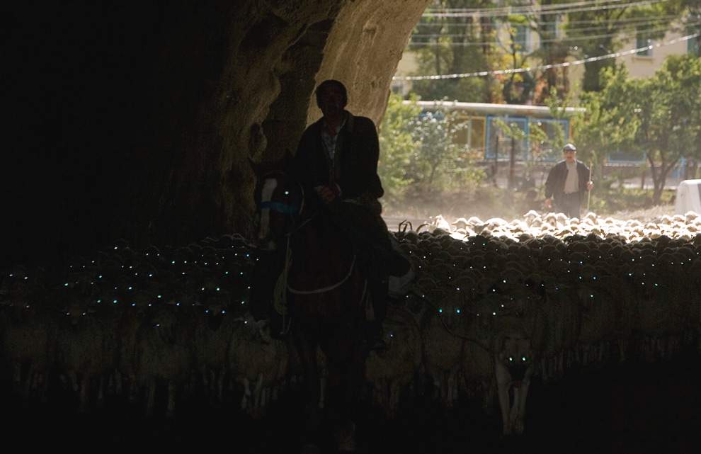 Отара овец в туннеле, Владикавказ © Kazbek Basayev, Reuters