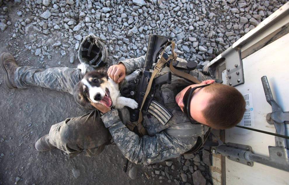 Американский солдат играет с собакой