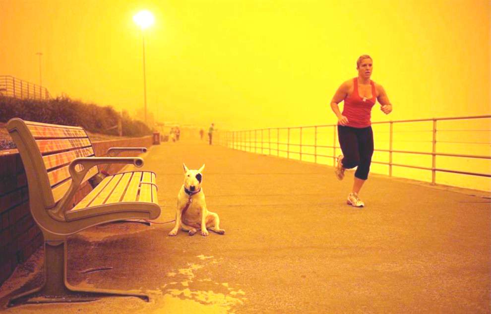 Девушка пробегает мимо привязанной к скамейке собаки в пыльной буре