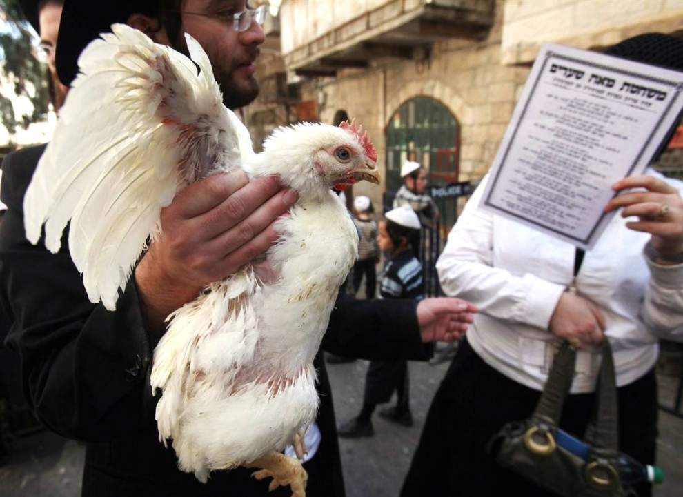 Пара православных евреев в Иерусалимском районе Меа Шириам начинают Капарот – определенный ритуал, во время которого нужно прочесть молитву и пронести через голову курицу