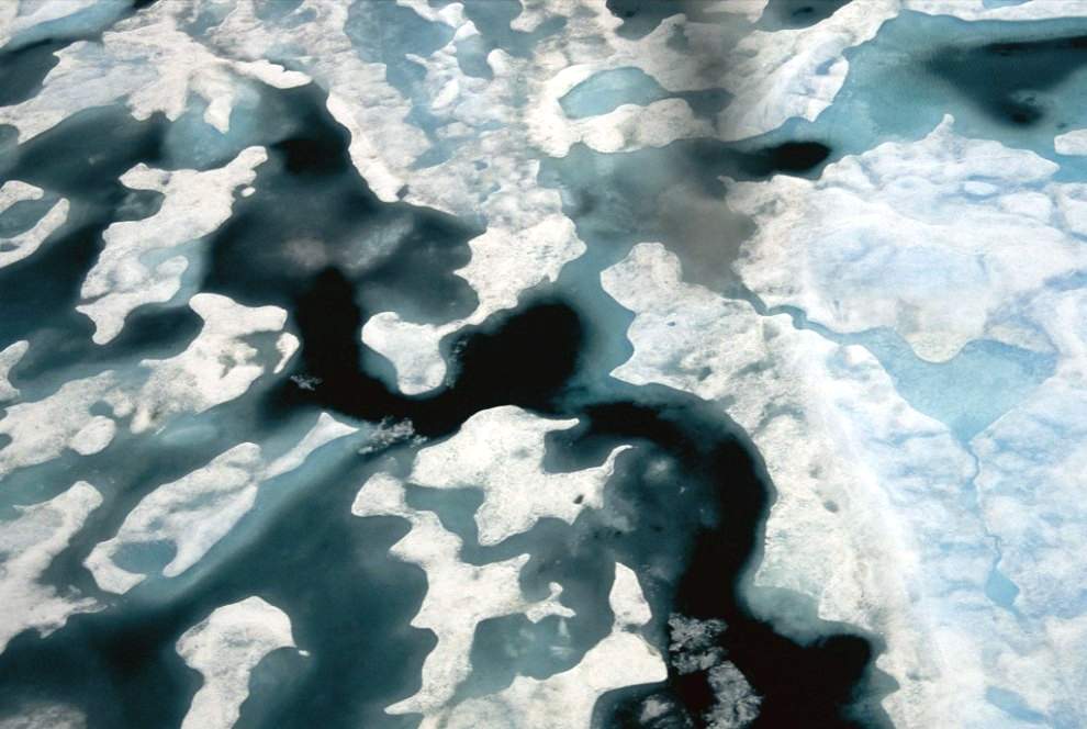 Морской лед большую часть года покрывает Северный Ледовитый океан, самый маленький из океанов Земли,. (Norbert Rosing) 