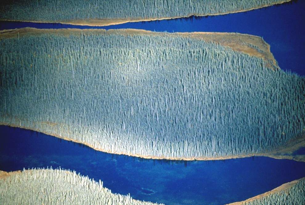 Водные потоки в Национальном парке Врангель-Сент Элиас на Аляске. Самый крупный среди национальный парков США, Врангель-Сент Элиас представляет собой крупнейшее скопление ледников в Северной Америке. (Frans Lanting) 