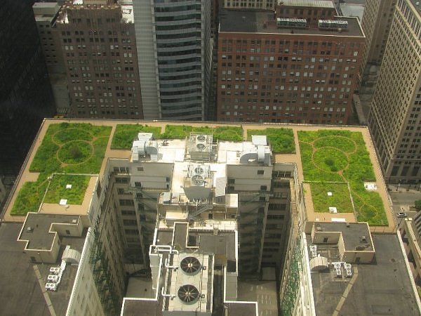 Необычный «зеленый» дизайн крыш домов однозначно привлекает внимание прохожих. 