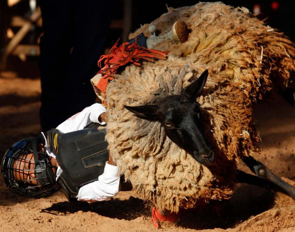 Маленький участник фестиваля родео в Барретосе, Бразилия, упал со своей овцы. (Paulo Whitaker/Reuters)